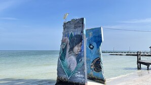 Two large, weathered billboards with graffiti art by Sierid on a beach. - Brisa Del Mar (Isla Holbox)