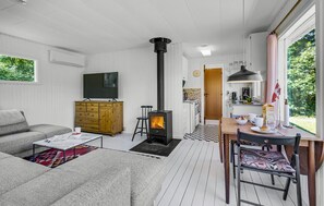 Smart-TV, Kamin