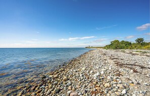 Tæt på stranden, fiskeri