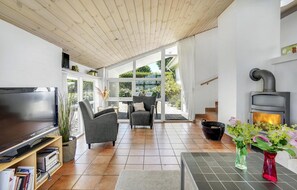 تلفزيون ذكي، مدفأة، ستيريو