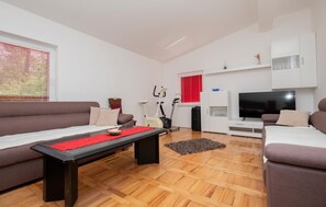 Fernseher