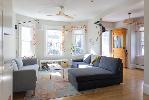 Books, computer monitors, printers