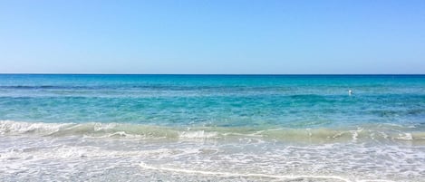 Nära stranden