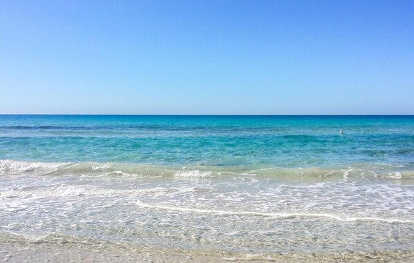 Playa en los alrededores 