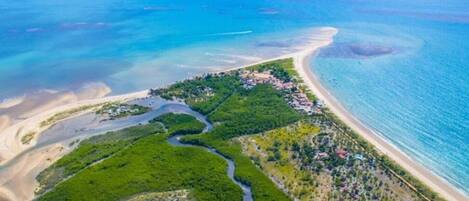 بالقرب من الشاطئ