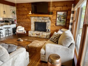 Smart TV, fireplace, DVD player, books