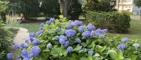 Áreas de la propiedad