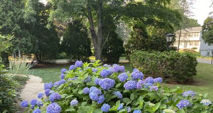 Private pool, fire pit, hummingbirds in comfortable colonial style private home.