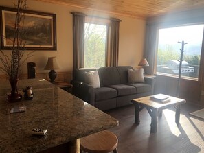 Smart TV, chimenea y libros 