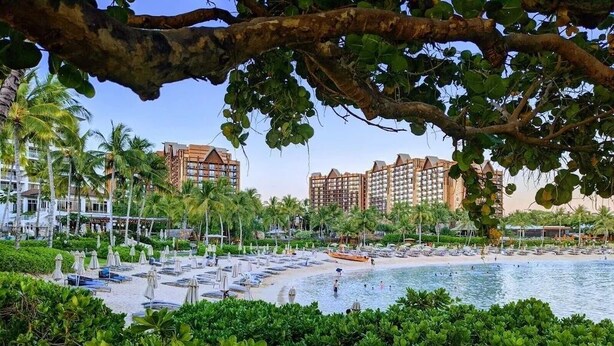 Un resort con piscina, palmeras y vistas a la playa.