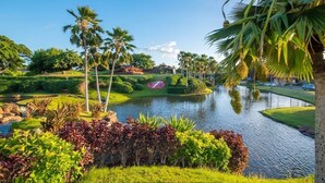Un jardín ajardinado con un estanque, palmeras y setos podados.