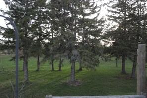 Terrain de lâhĂ©bergement