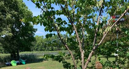 Peaceful on the Creek in the Northern Neck