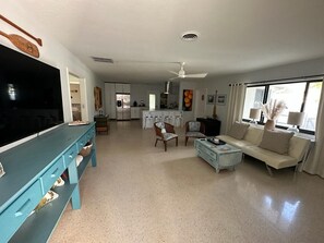 Smart TV, fireplace, books, computer monitors