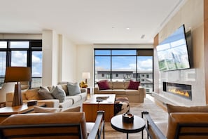 TV, fireplace, video games, DVD player