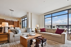 TV, fireplace, video games, DVD player