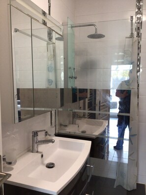 Shower, hair dryer, towels, toilet paper