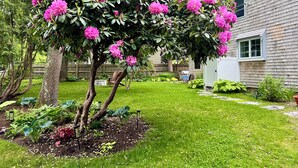 Un giardino con un albero in fiore, un prato e una casa sullo sfondo.