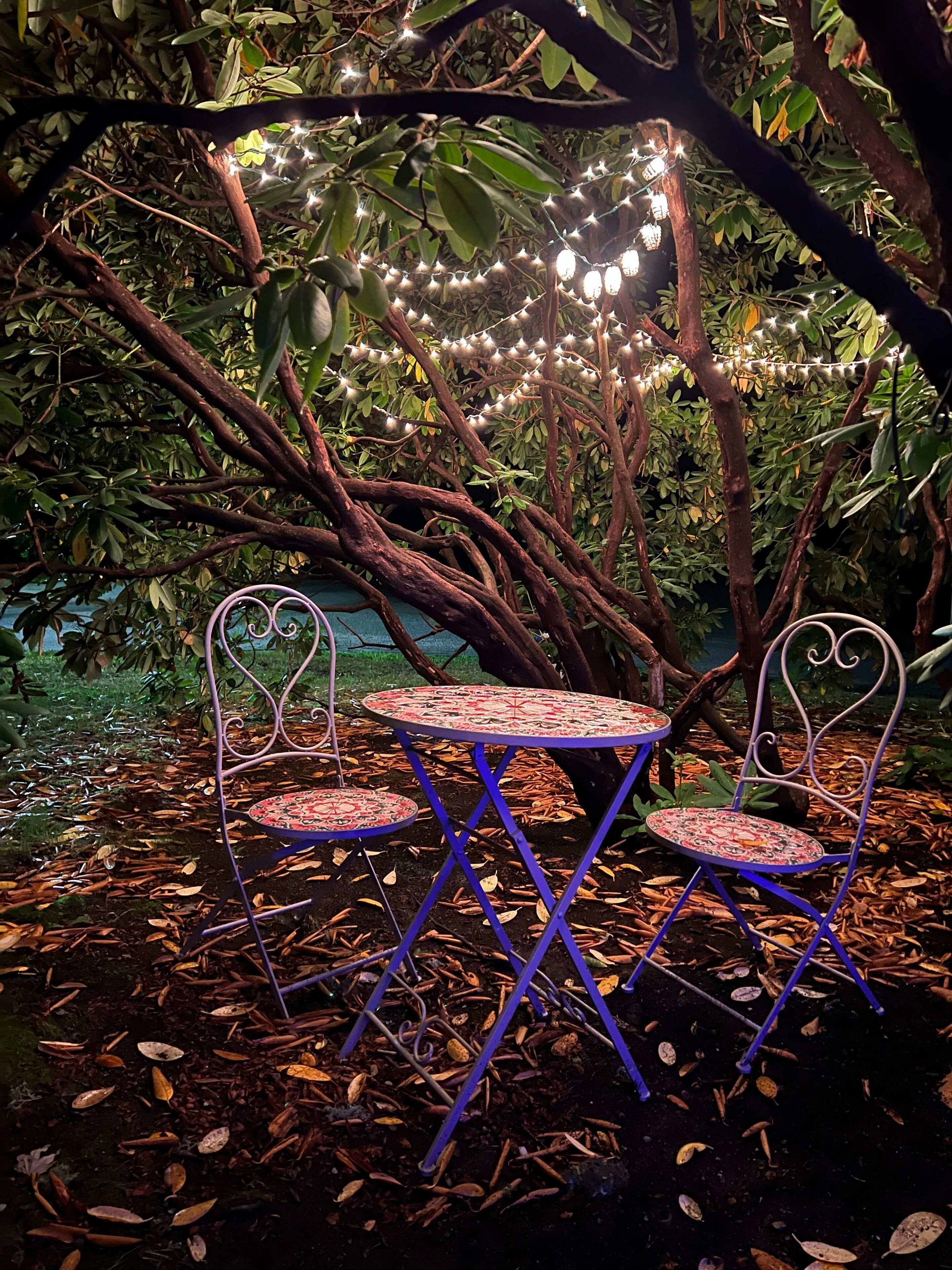 A garden setting with a table and chairs under a tree, surrounded by foliage and string lights.