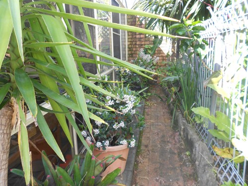 Rest and relax in the garden
