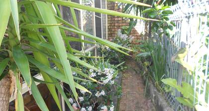 Rest and relax in the garden