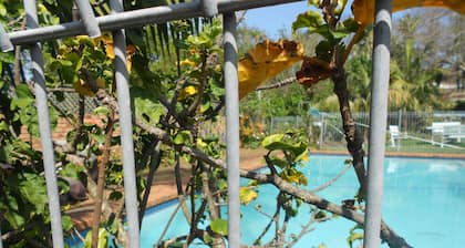 Rest and relax in the garden