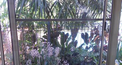 Rest and relax in the garden