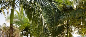 Rushel Kivu Resort Ltd