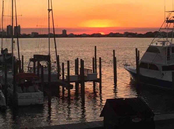 Marina