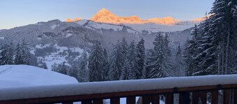 Chalet Le Remarquable, Crest Voland