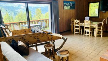 TV, fireplace, books