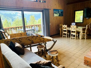 TV, fireplace, books