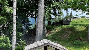 Parco della struttura