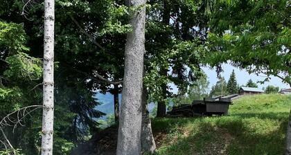 Chalet Le Remarquable, Crest Voland