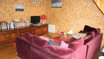 TV, DVD player, books