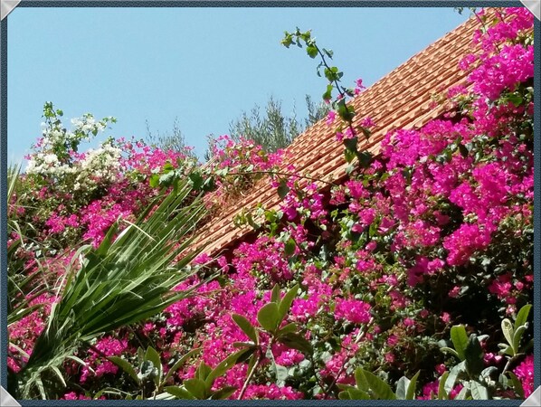 Casa, 2 habitaciones, para fumadores, balcón | Jardín