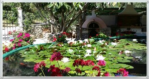 House, 2 Bedrooms, Smoking, Balcony | Garden