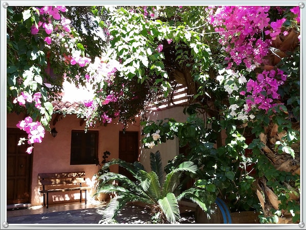 House, 2 Bedrooms, Smoking, Balcony | Garden