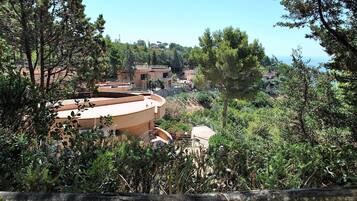 Vila, 1 kamar tidur, Boleh Merokok, balkon | Taman