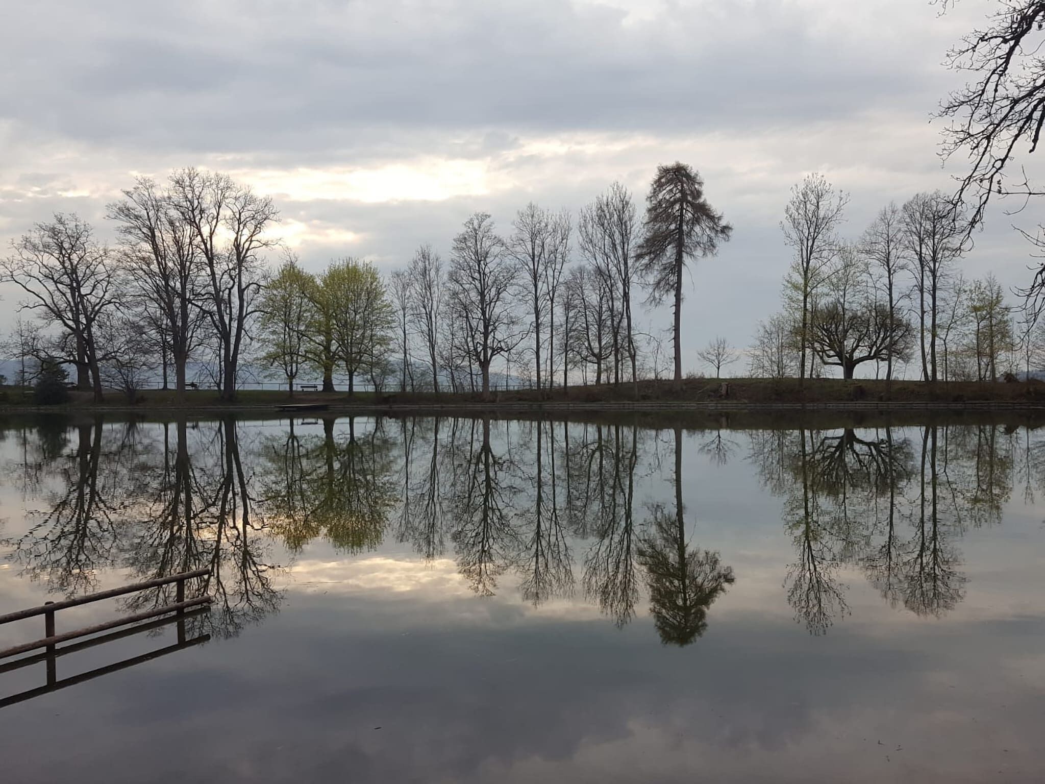 A calm lake with reflections of trees and a wooden dock.
