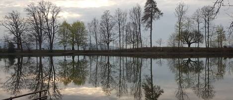A calm lake with reflections of trees and a wooden dock.