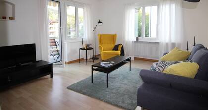 Casa Schilling- 2,5 Rooms With Balcony Near Hospital, University