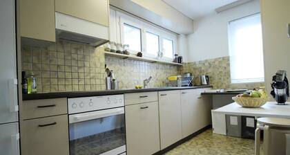 Casa Schilling- 2,5 Rooms With Balcony Near Hospital, University