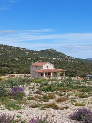 Exterior - Soothing Holiday Home Green Life (Tkon)