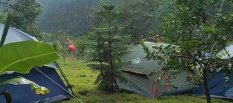 Lechuza River Campingcamping House