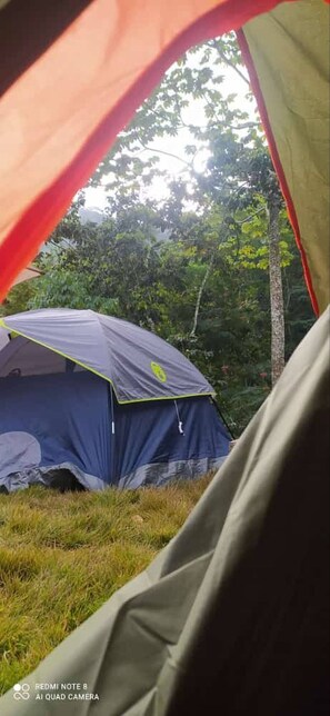Room, 1 Bedroom, Smoking, Refrigerator | 1 bedroom - Lechuza River Campingcamping House (Los Cacaos)