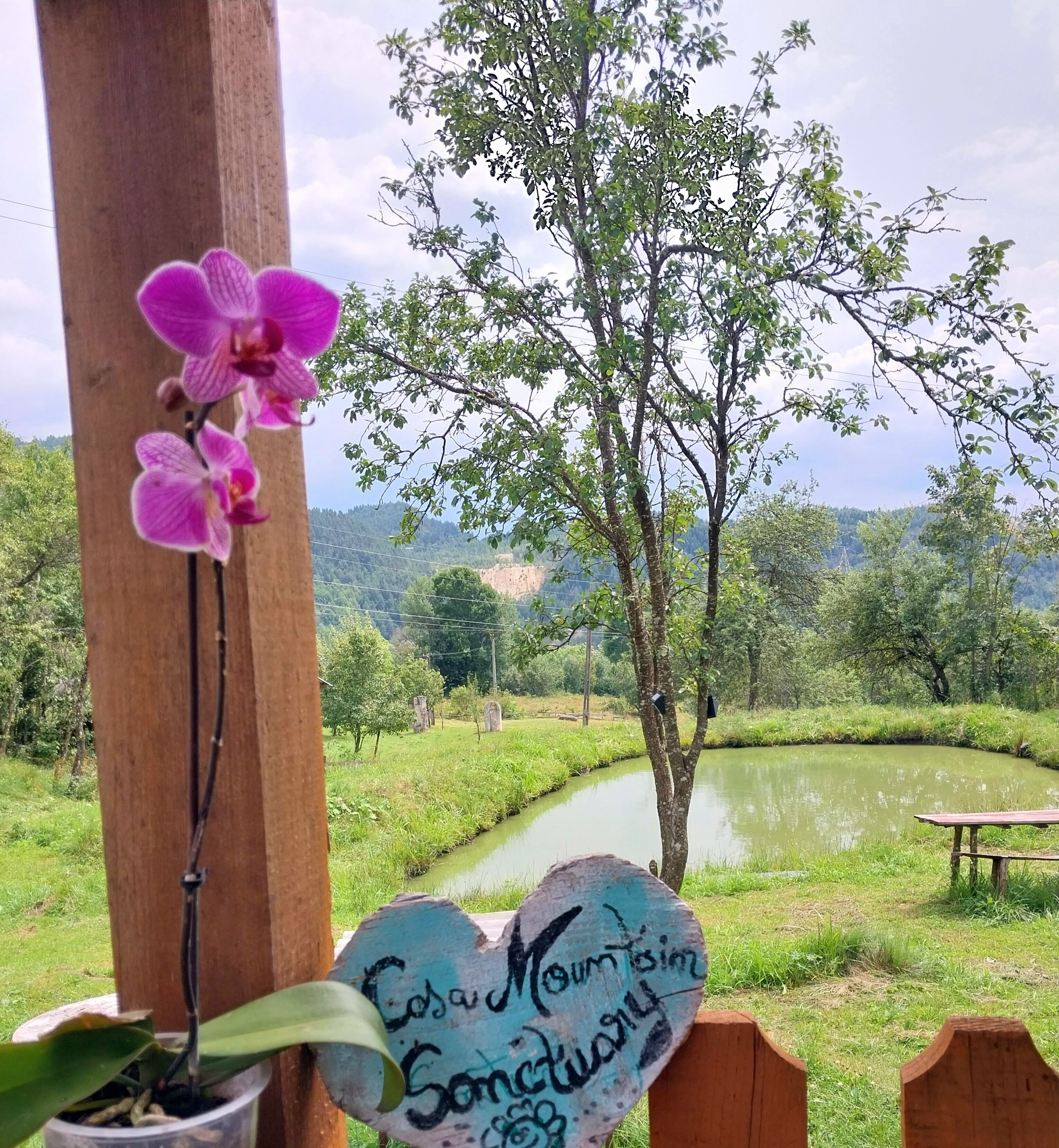 House, 2 Bedrooms, Smoking, Patio | Outdoor dining