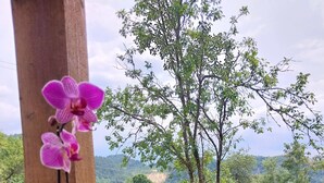 House, 2 Bedrooms, Smoking, Patio | Outdoor dining - Rustic Wild Retreat IN Romania (Rosia Montana)