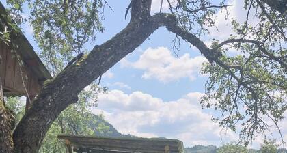 Rustic Wild Retreat IN Romania