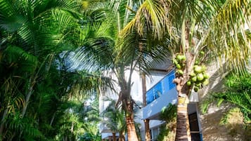 Kondominium, 1 kamar tidur, akses difabel, Boleh Merokok | Taman